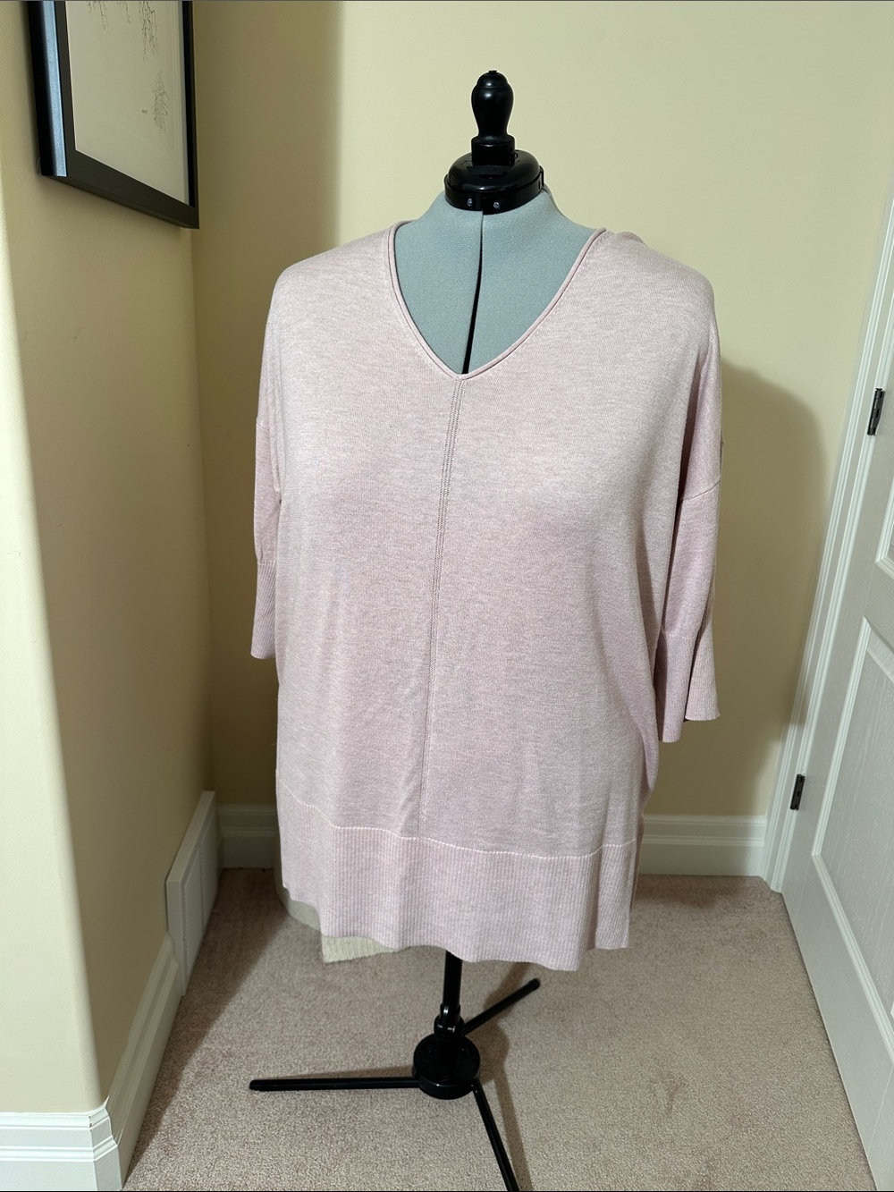 NWOT - V-Neck Women's Sweater in Light Pink